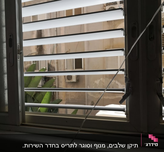 תריסים לבנים פתוחים עם ידיות מתכת